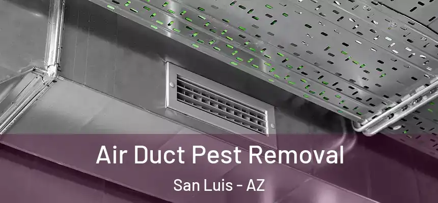 Air Duct Pest Removal San Luis - AZ