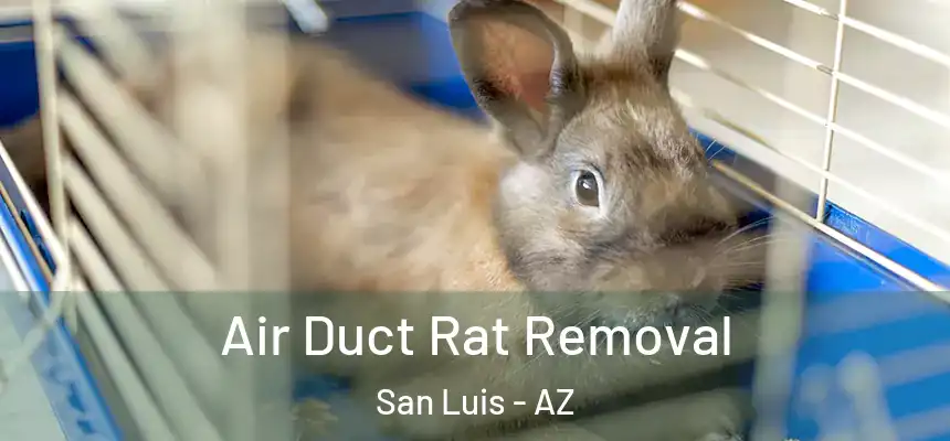 Air Duct Rat Removal San Luis - AZ