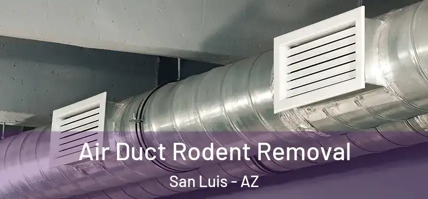 Air Duct Rodent Removal San Luis - AZ