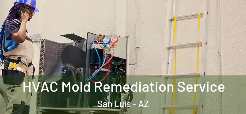  HVAC Mold Remediation Service San Luis - AZ