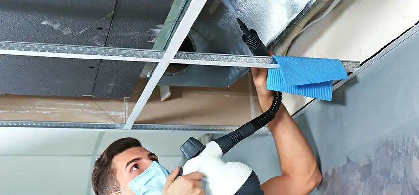 Our Air Duct Rodent Removal Services in San Luis, AZ
