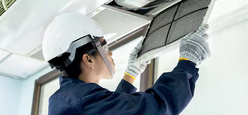 Our Mold & Mildew Removal from Air Ducts Services in San Luis, AZ