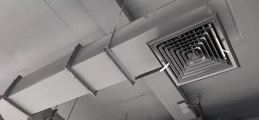 Our Pest Removal From Ducts Services in San Luis, AZ