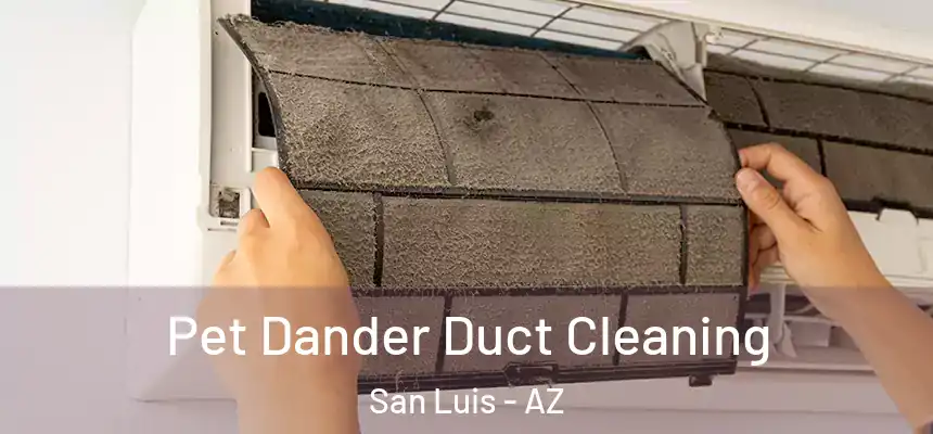 Pet Dander Duct Cleaning San Luis - AZ