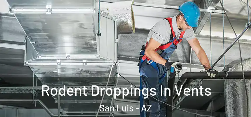 Rodent Droppings In Vents San Luis - AZ