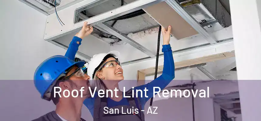  Roof Vent Lint Removal San Luis - AZ