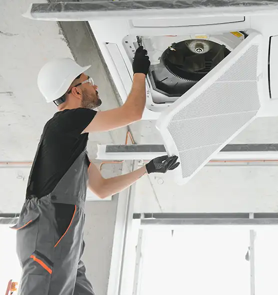 About Air Duct Rodent Removal in San Luis, AZ