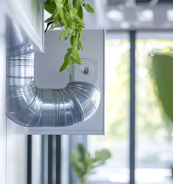 Professional Eco-Safe Dryer Vent Cleaning in San Luis, AZ