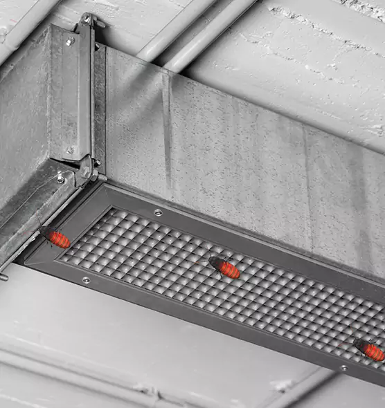 Affordable Insect Removal from Air Ducts in San Luis, AZ
