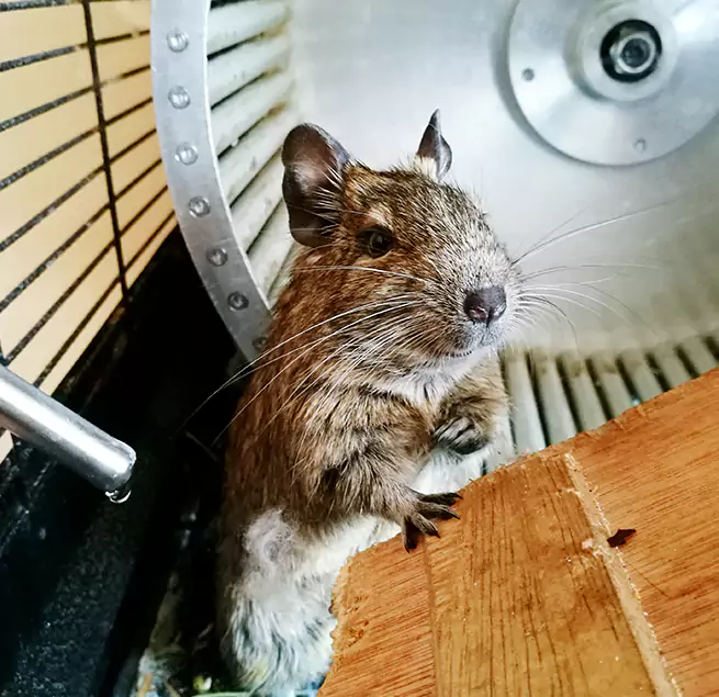 Why Homeowners & Businesses Trust Us San Luis, AZ?