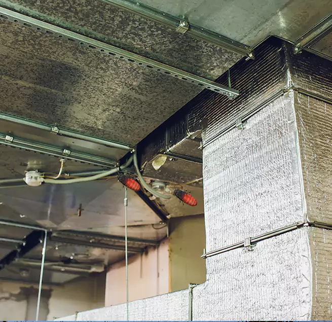 Why Homeowners & Businesses Trust Us San Luis, AZ?