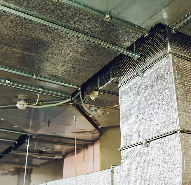 Why Homeowners & Businesses Trust Us in San Luis, AZ?