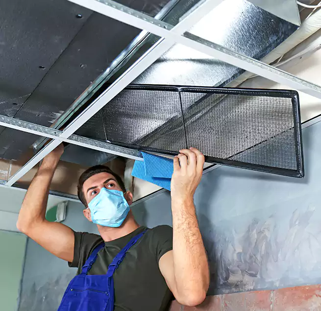 Why Homeowners Businesses Trust Us in San Luis, AZ